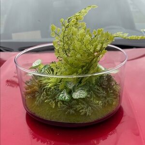 Target Faux Greenery in Glass Bowl